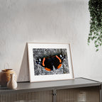 Poster mit Holzrahmen, Art.-Nr. T 00104 P