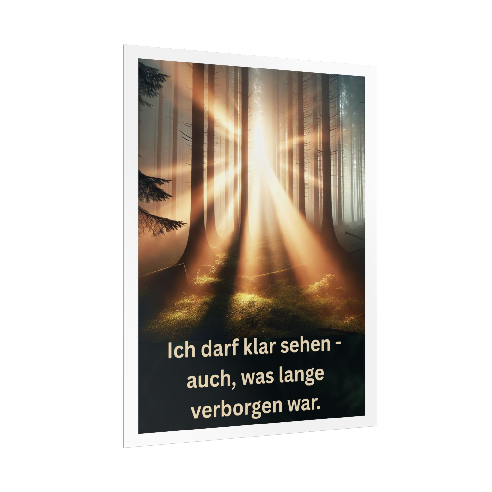 Poster Wand, Art.-Nr. W Bo-010