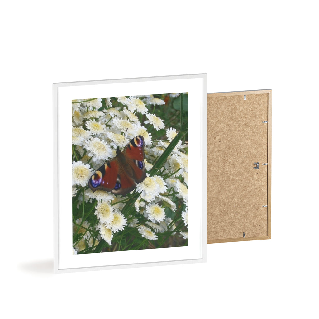 Posters with Wooden Frame