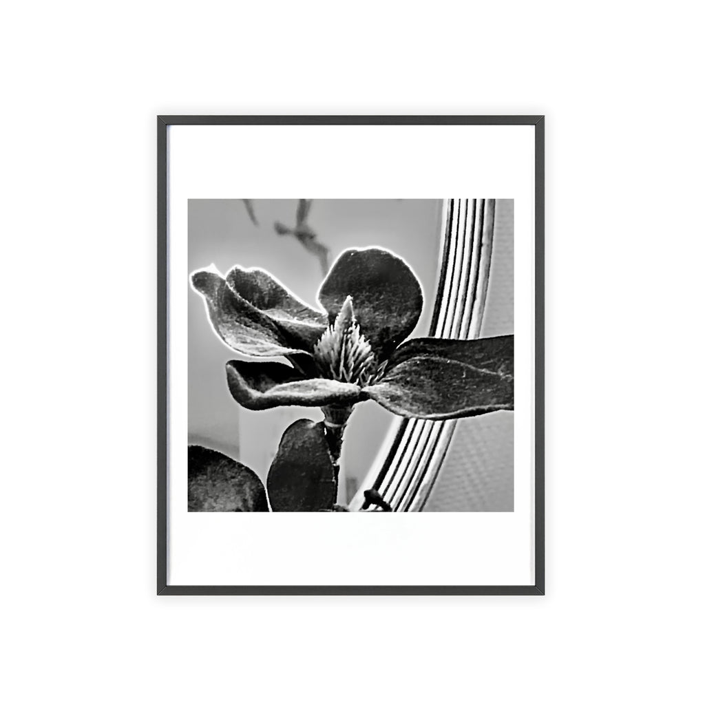 Poster mit Holzrahmen, Art.-Nr. AP 00113 P