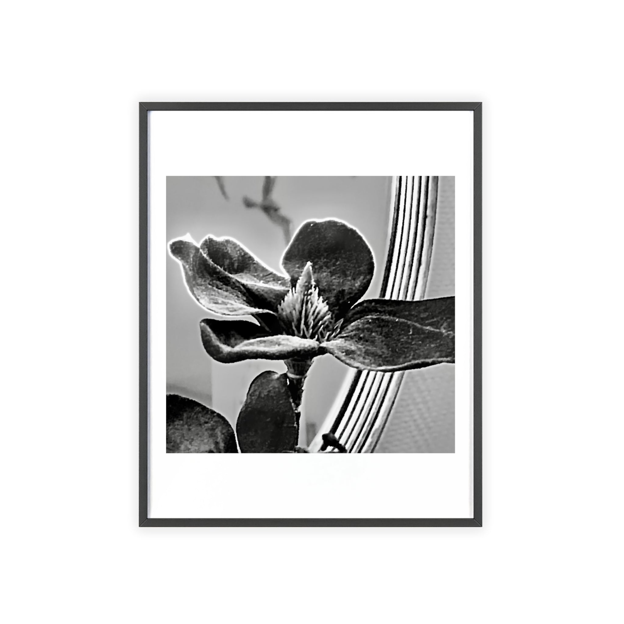 Poster mit Holzrahmen, Art.-Nr. AP 00113 P