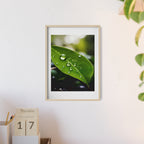 Poster mit Holzrahmen, Art.-Nr. NA 00115 P