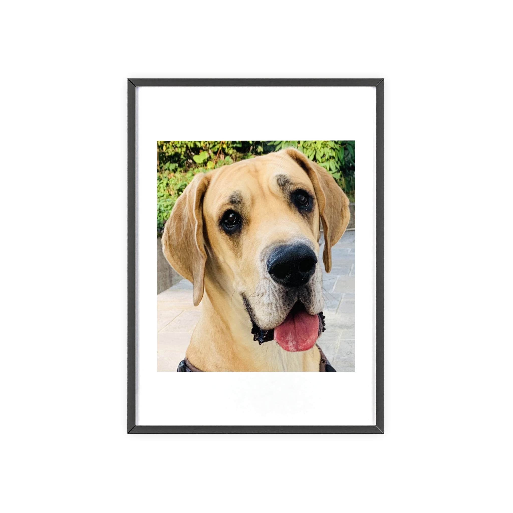 Poster mit Holzrahmen, Art.-Nr. T 00103 P