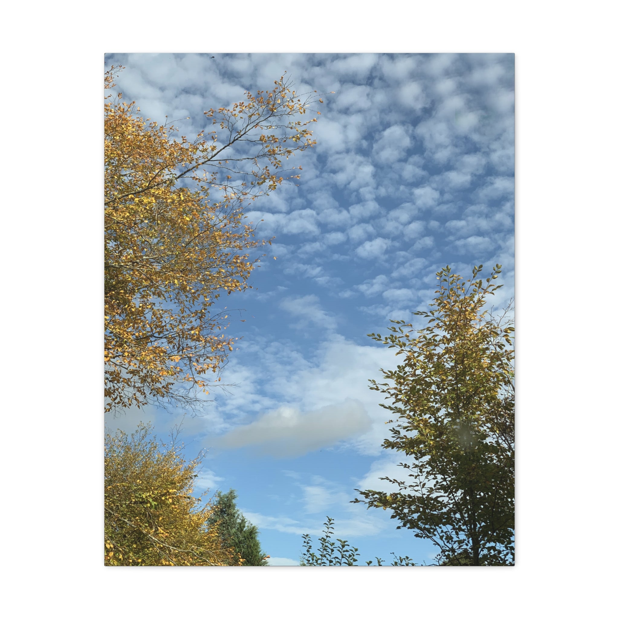 Wandbild Druck, Art.-Nr. NA 00119 W