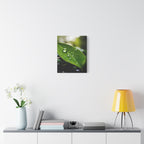 Wandbild Druck, Art.-Nr. NA 00115 W