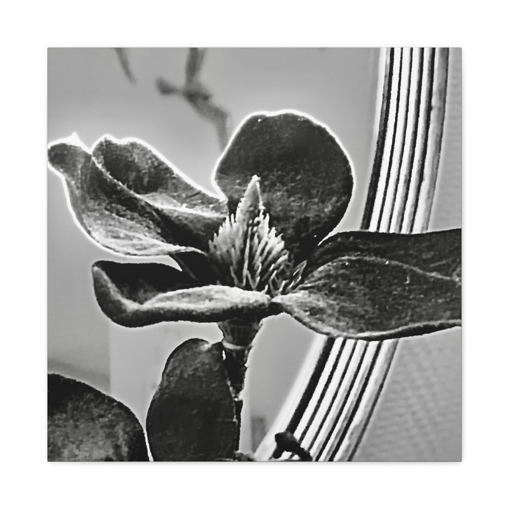 Wandbild Druck, Art.-Nr. AP 00113 W