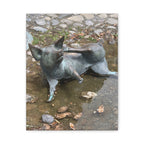 Wandbild Druck, Art.-Nr. NA 00133 W