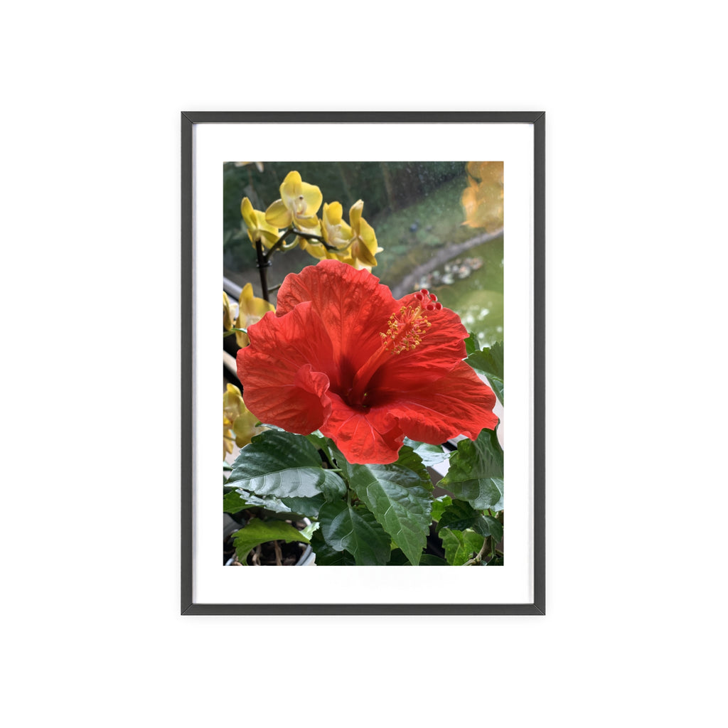 Poster mit Holzrahmen, Art.-Nr. NA 00107 P