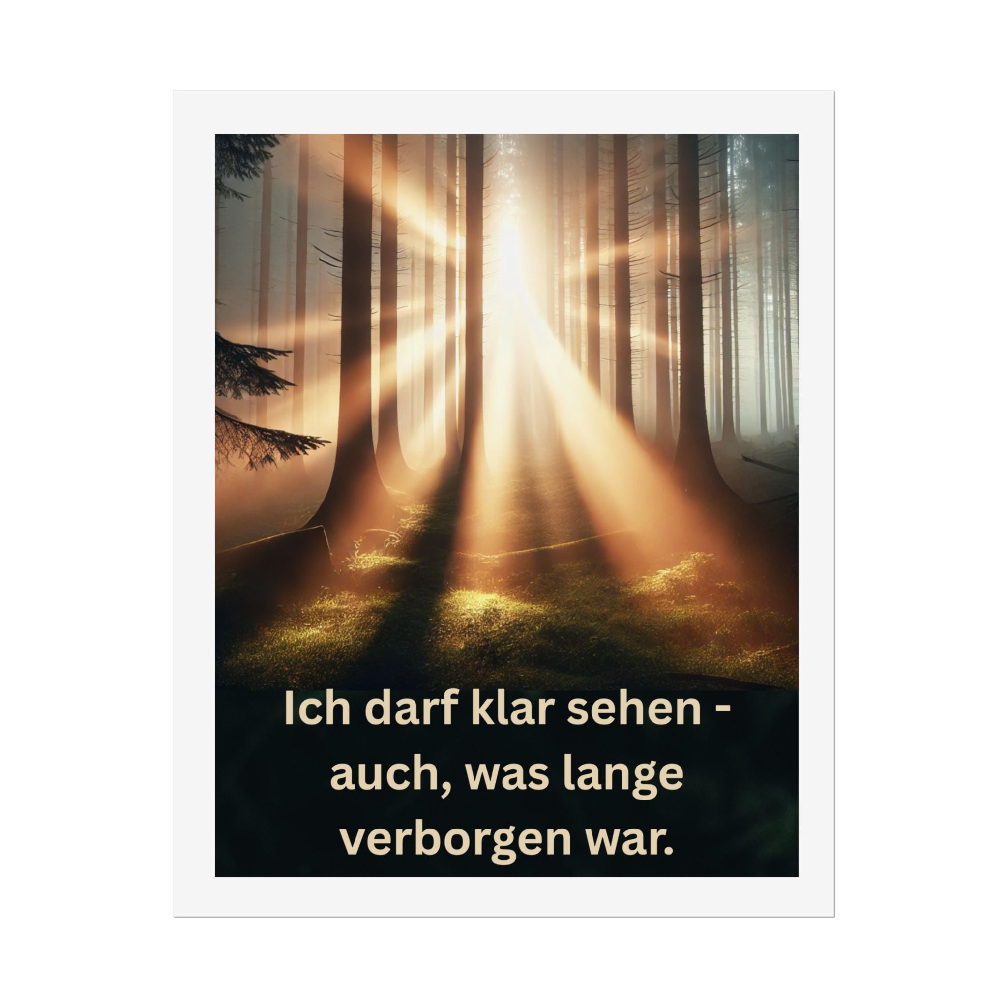 Poster klein, Art.-Nr. P Bo-010