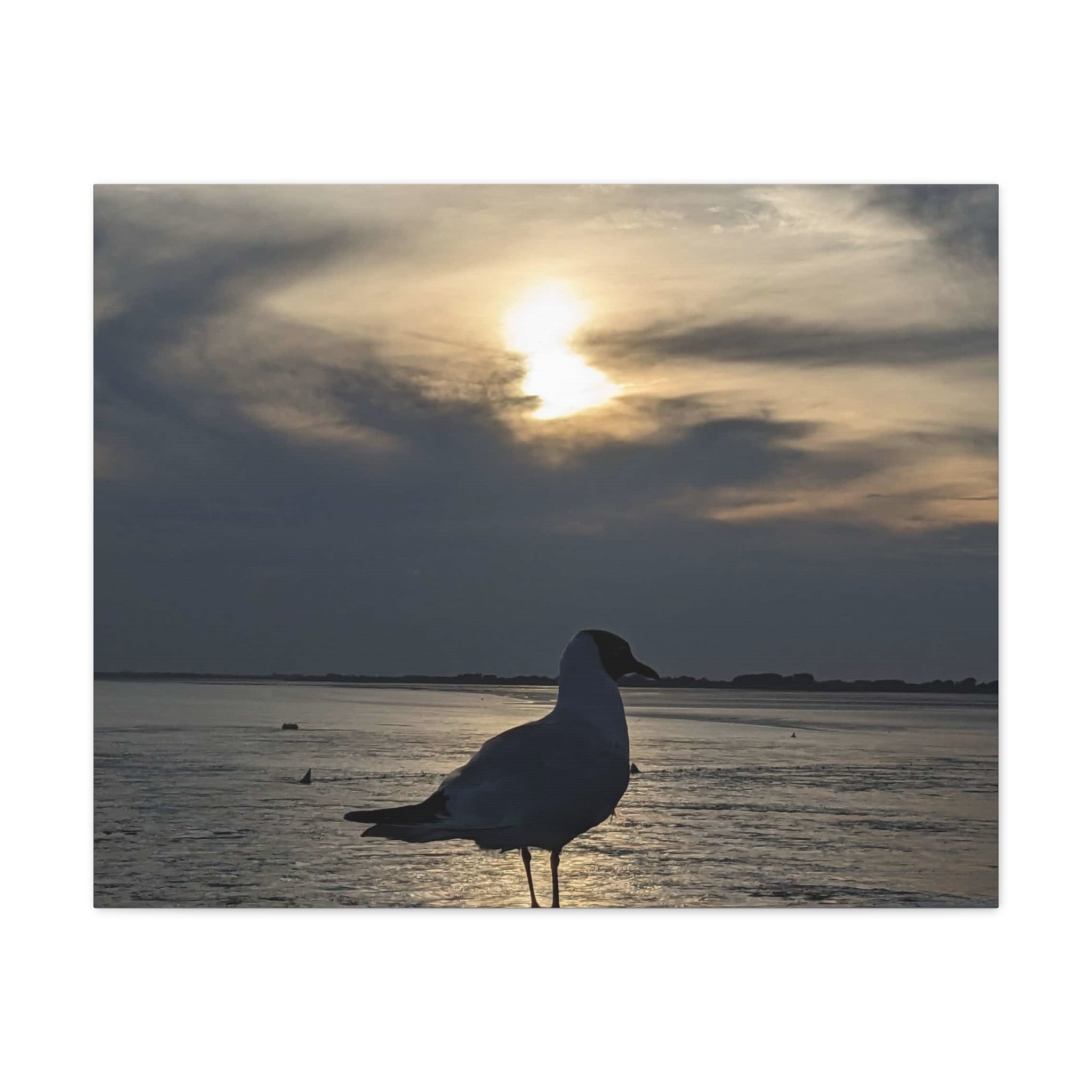 Wandbild Druck, Art.-Nr. T 00102 W