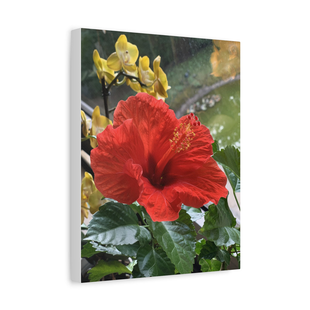 Wandbild Druck, Art.-Nr. NA 00107 W