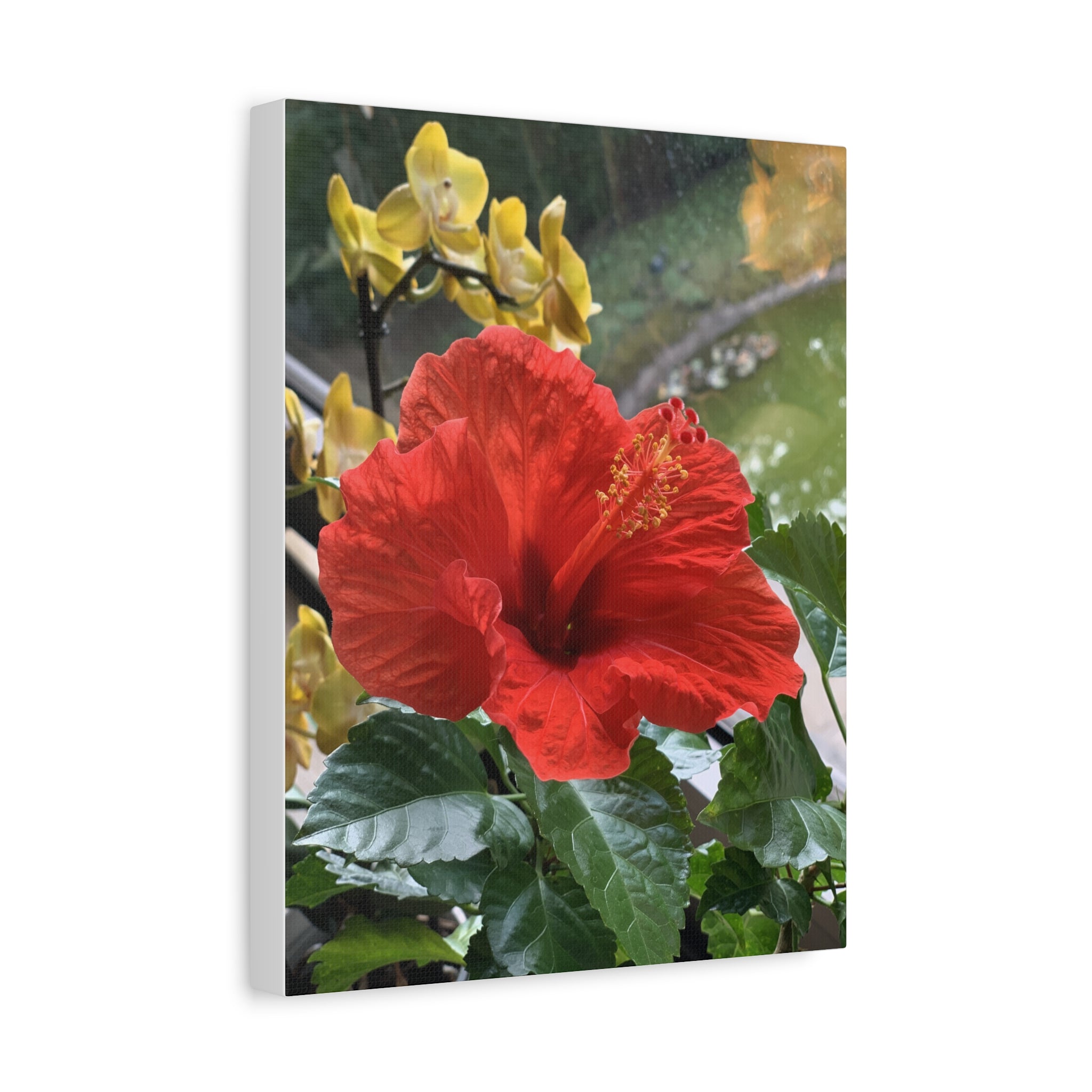 Wandbild Druck, Art.-Nr. NA 00107 W