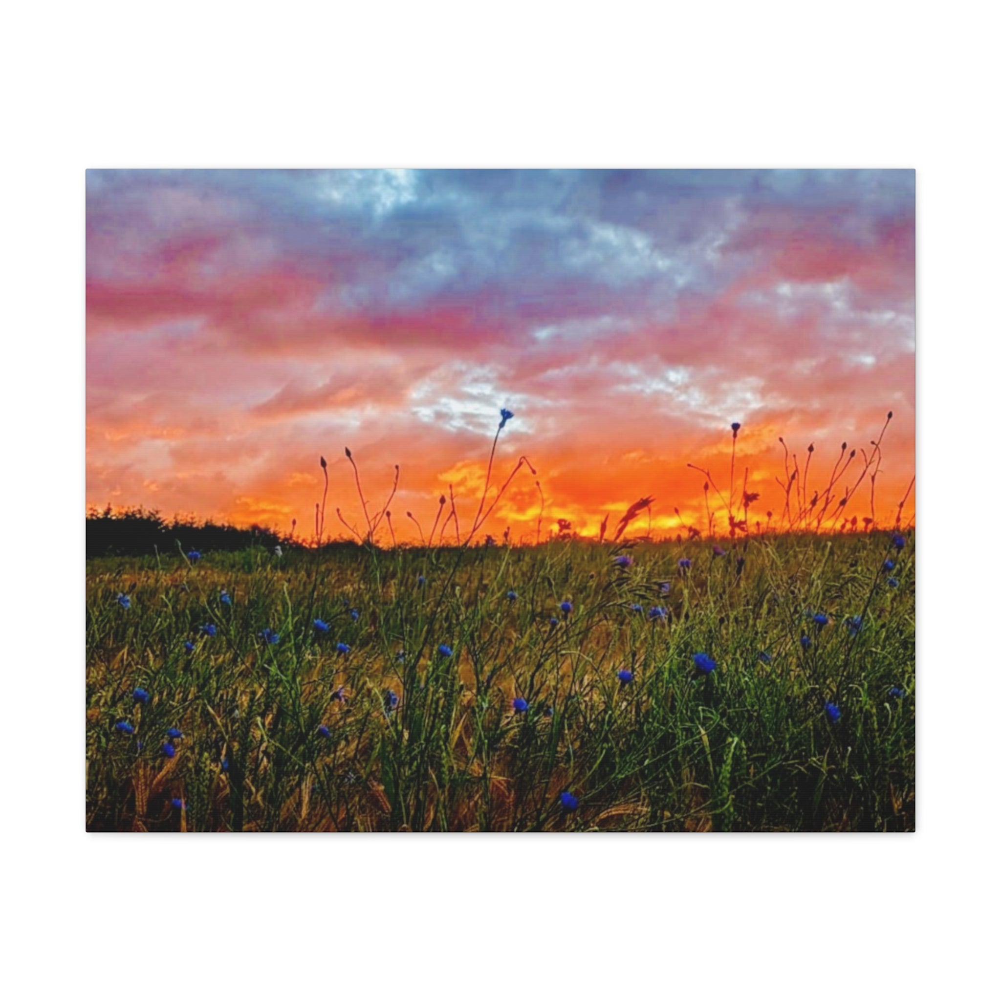 Wandbild Druck, Art.-Nr. NA 00139 W