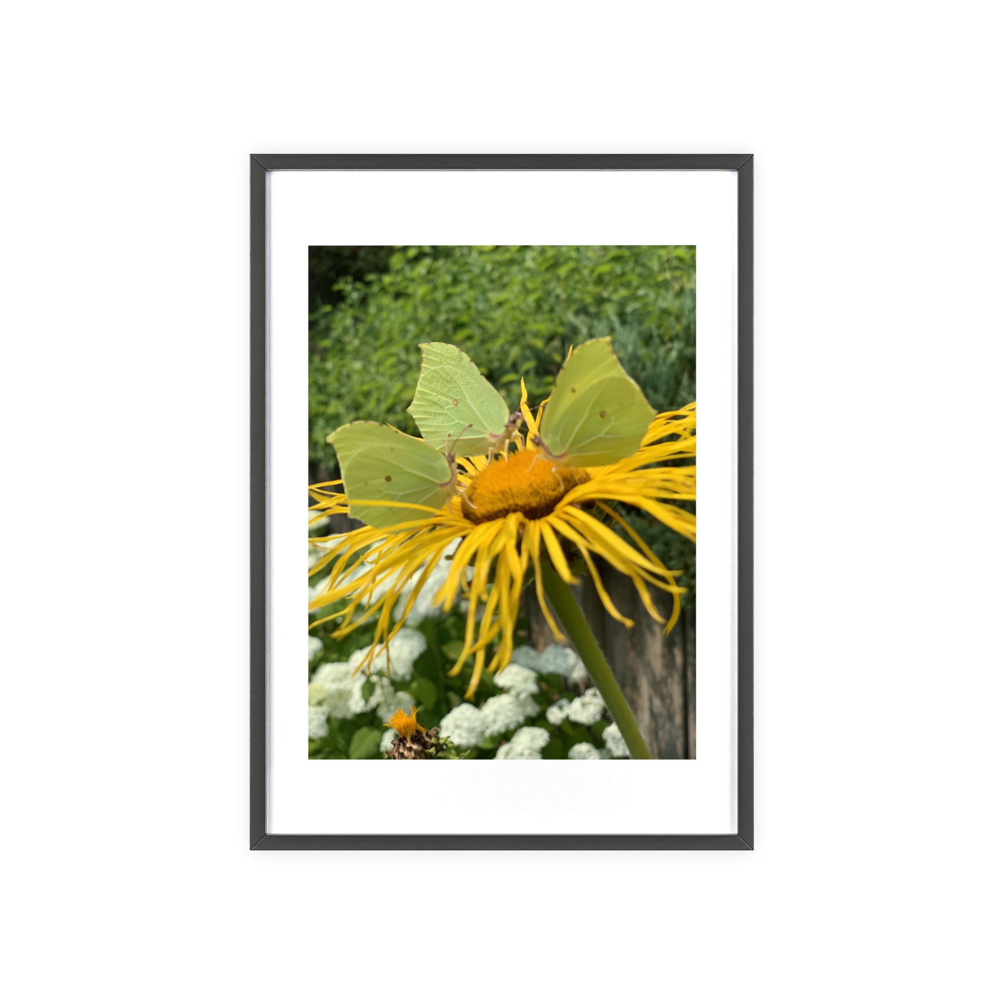 Poster mit Holzrahmen, Art.-Nr. NA 00137 P