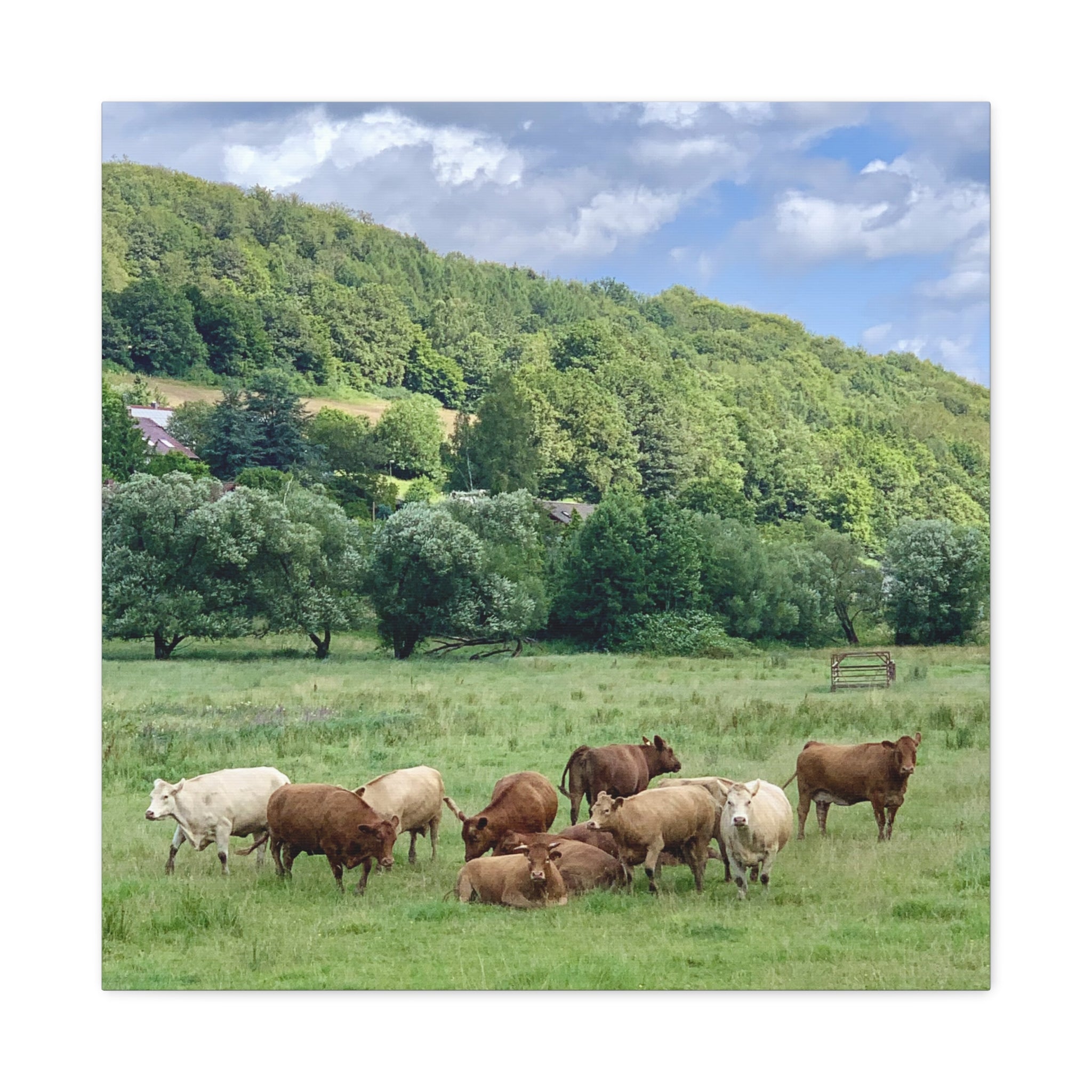 Wandbild Druck, Art.-Nr. T 00105 W