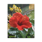 Wandbild Druck, Art.-Nr. NA 00107 W