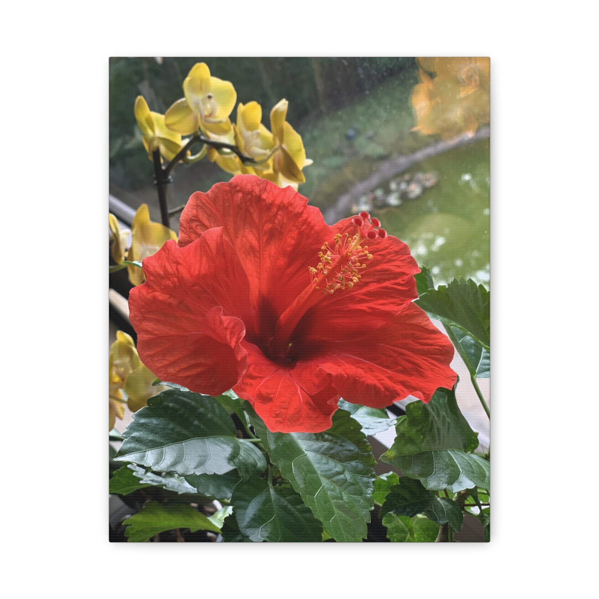 Wandbild Druck, Art.-Nr. NA 00107 W