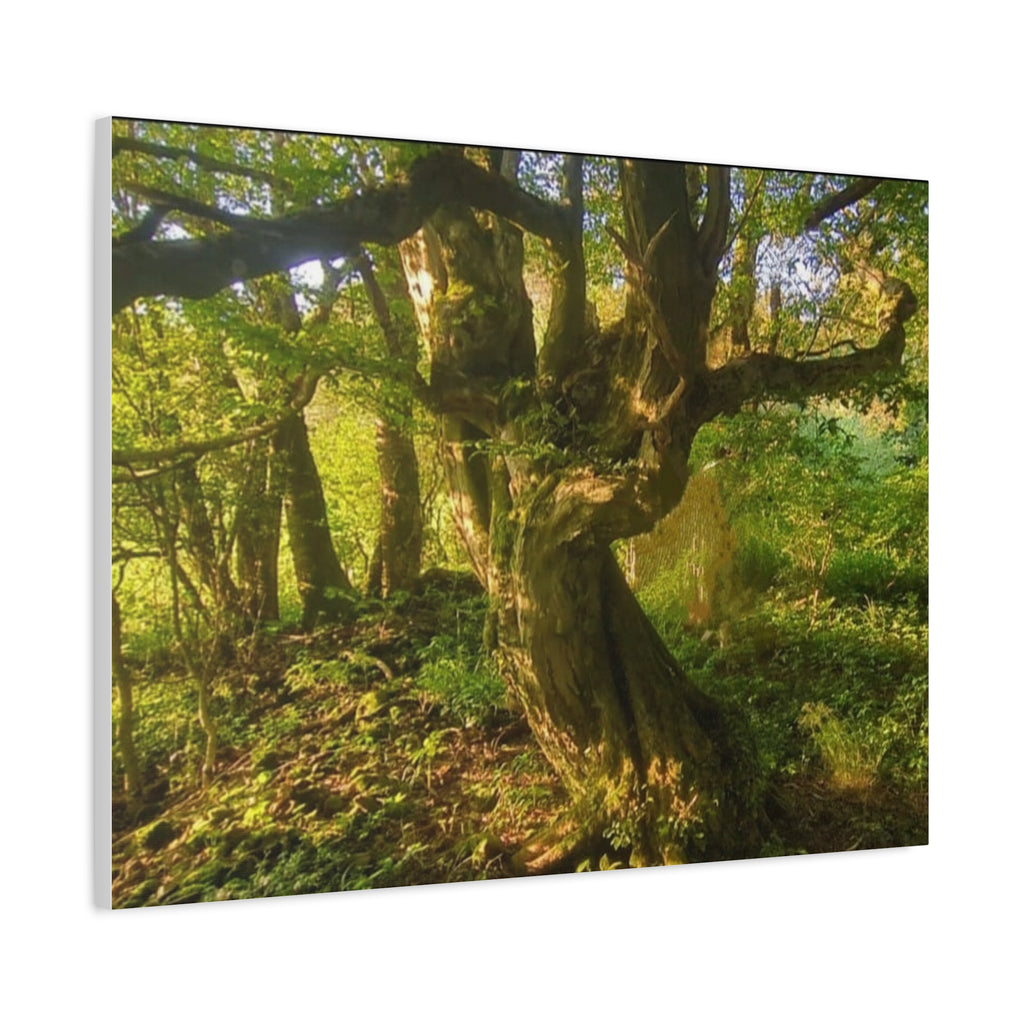 Wandbild Druck, Art.-Nr. NA 00105 W