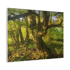 Wandbild Druck, Art.-Nr. NA 00105 W