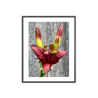 Poster mit Holzrahmen, Art.-Nr. NA 00132 P