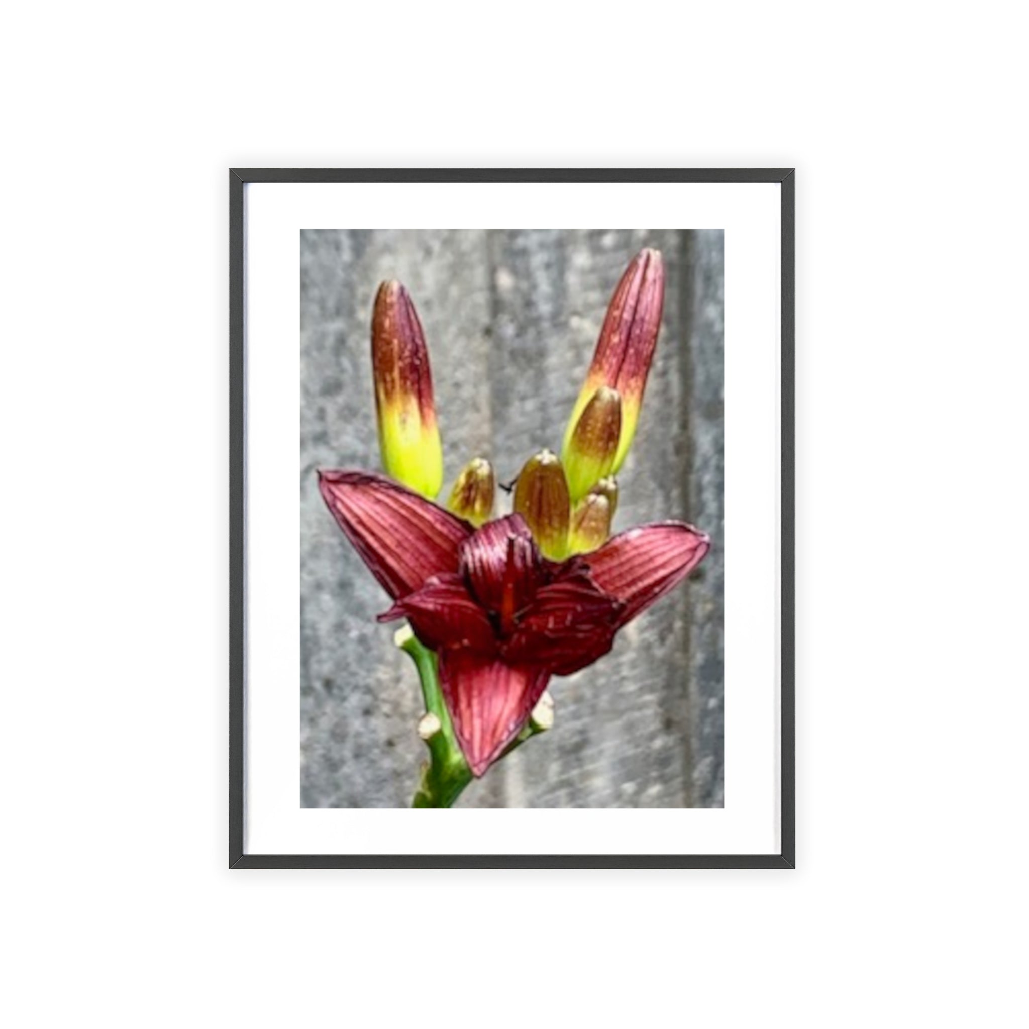 Poster mit Holzrahmen, Art.-Nr. NA 00132 P