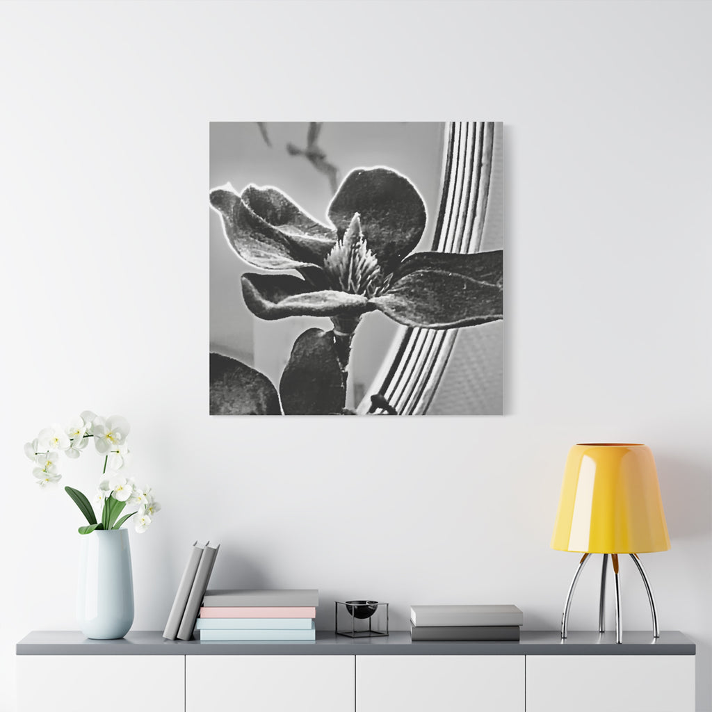 Wandbild Druck, Art.-Nr. AP 00113 W