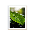 Poster mit Holzrahmen, Art.-Nr. NA 00115 P