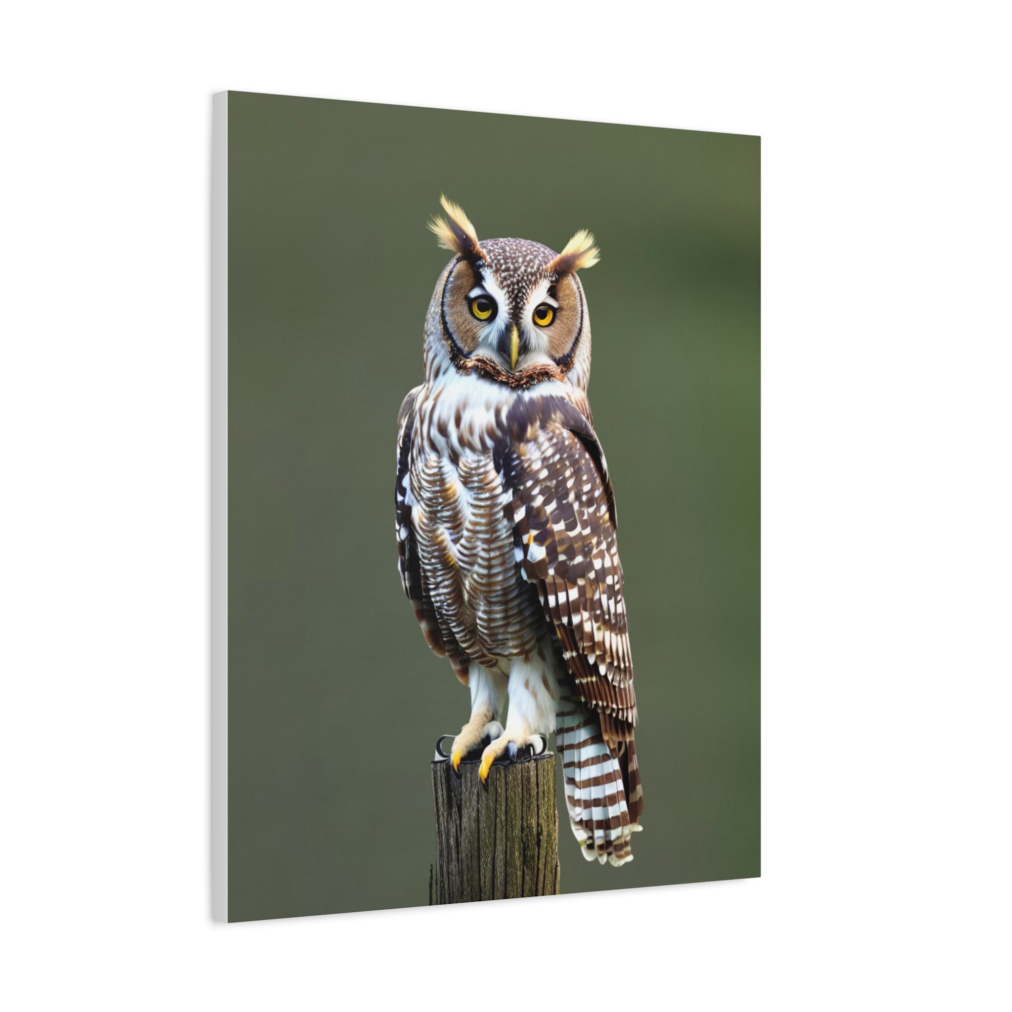 Wandbild Druck, Art.-Nr. T 00107 W