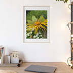 Poster mit Holzrahmen, Art.-Nr. NA 00137 P