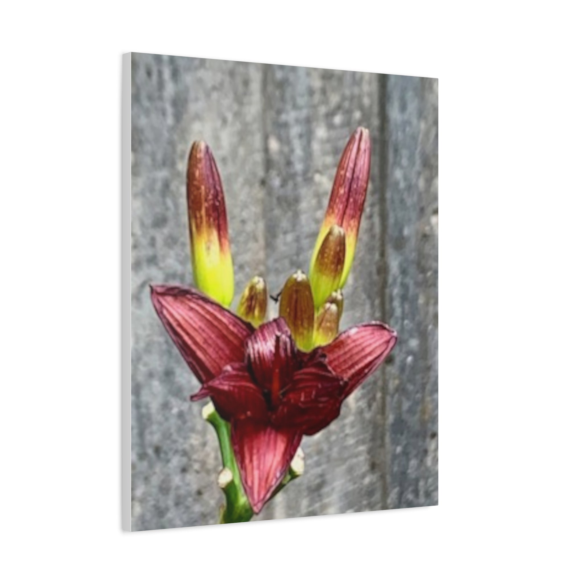 Wandbild Druck, Art.-Nr. NA 00132 W