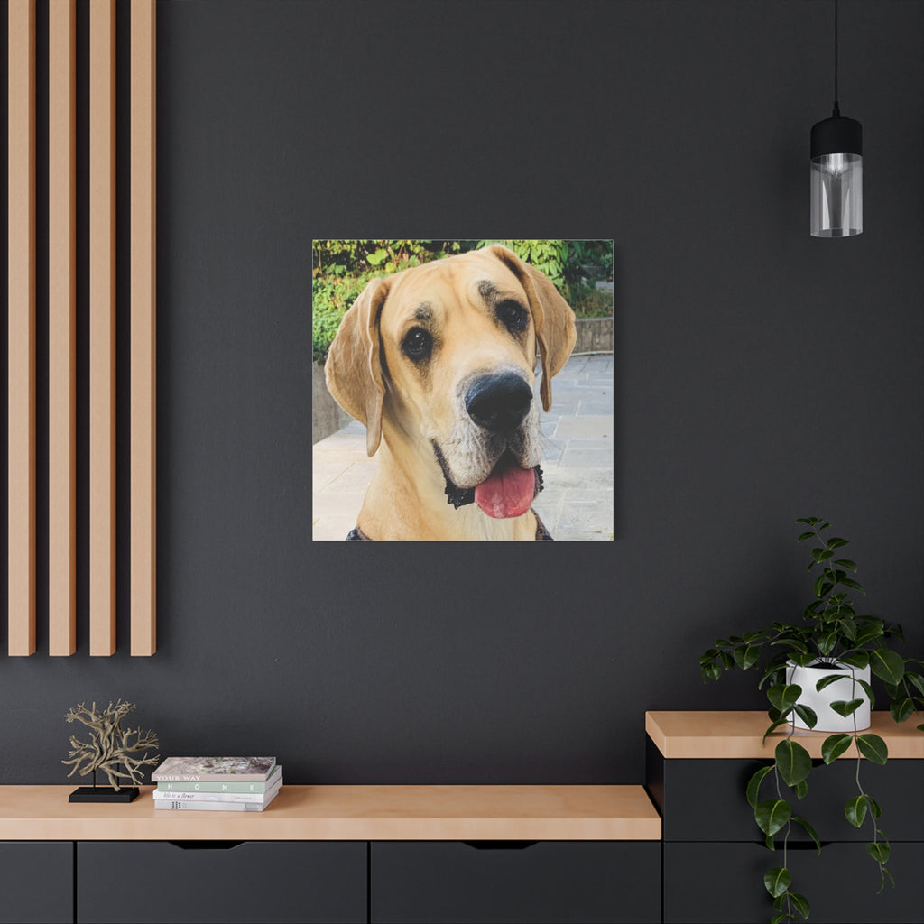 Wandbild Druck, Art.-Nr. T 00103 W