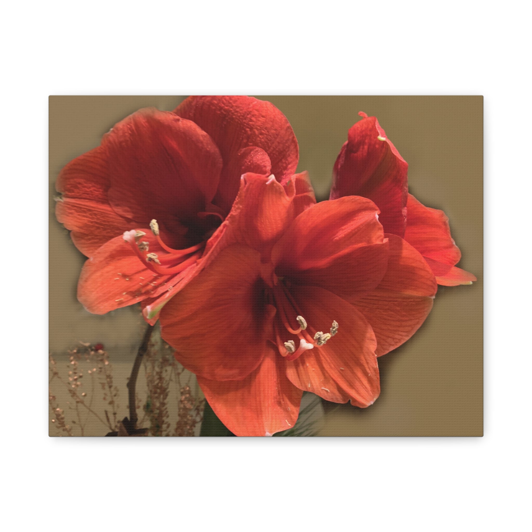 Wandbild Druck, Art.-Nr. NA 00111 W