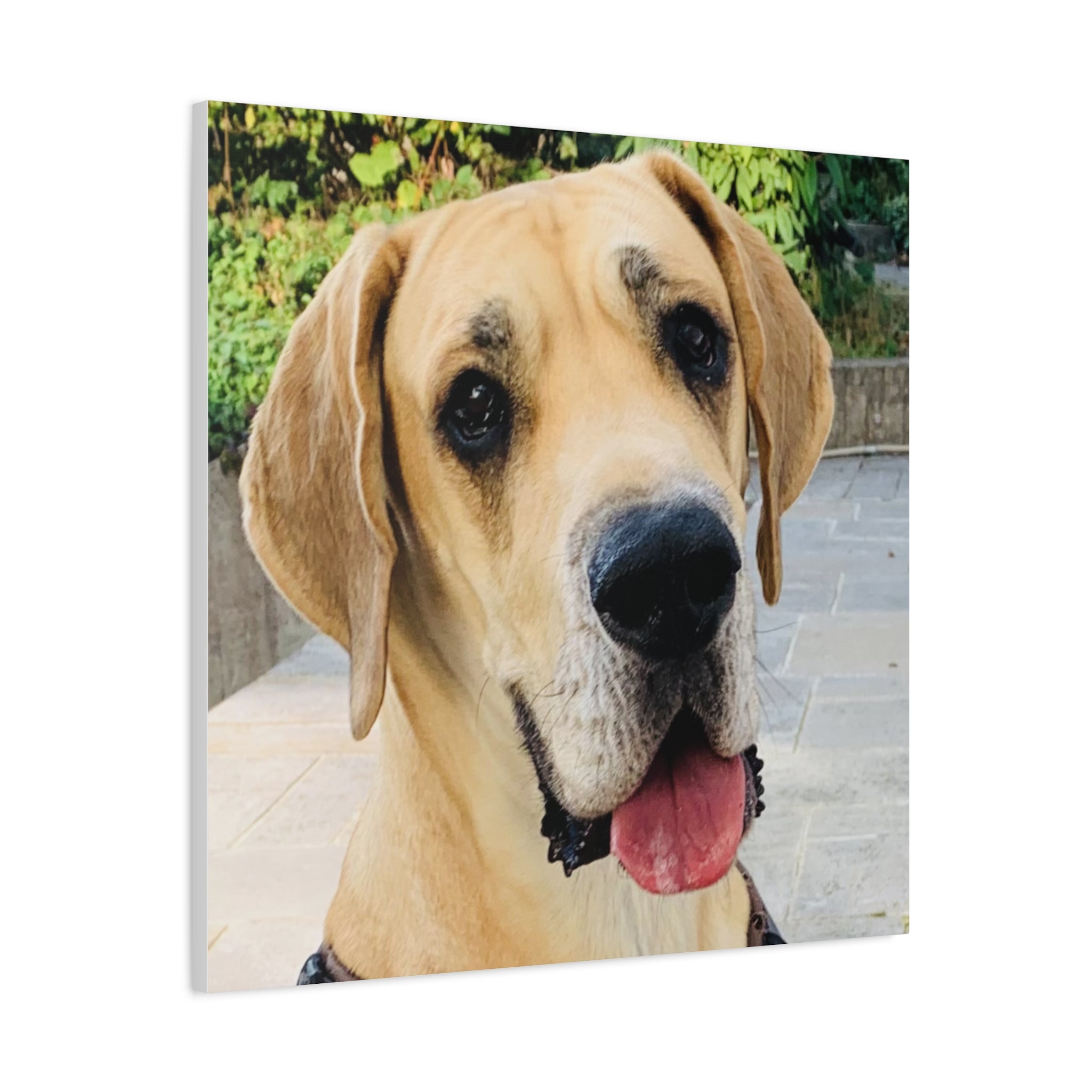 Wandbild Druck, Art.-Nr. T 00103 W