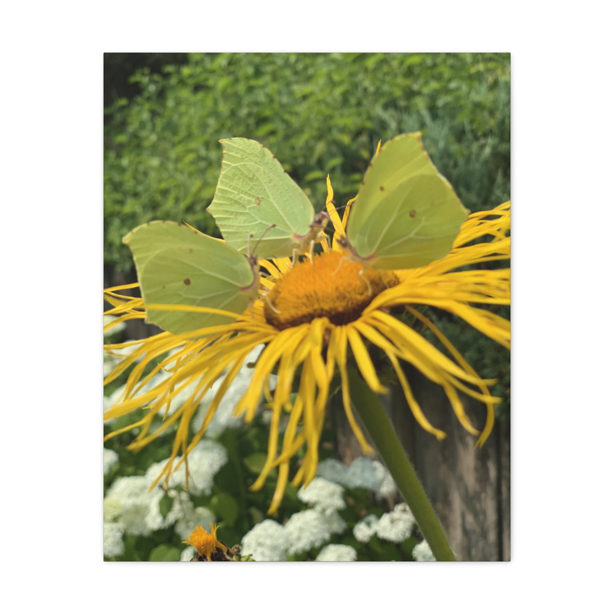 Wandbild Druck, Art.-Nr. NA 00137 W