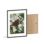 Posters with Wooden Frame