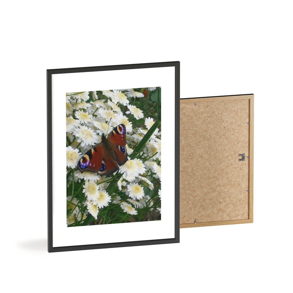 Posters with Wooden Frame