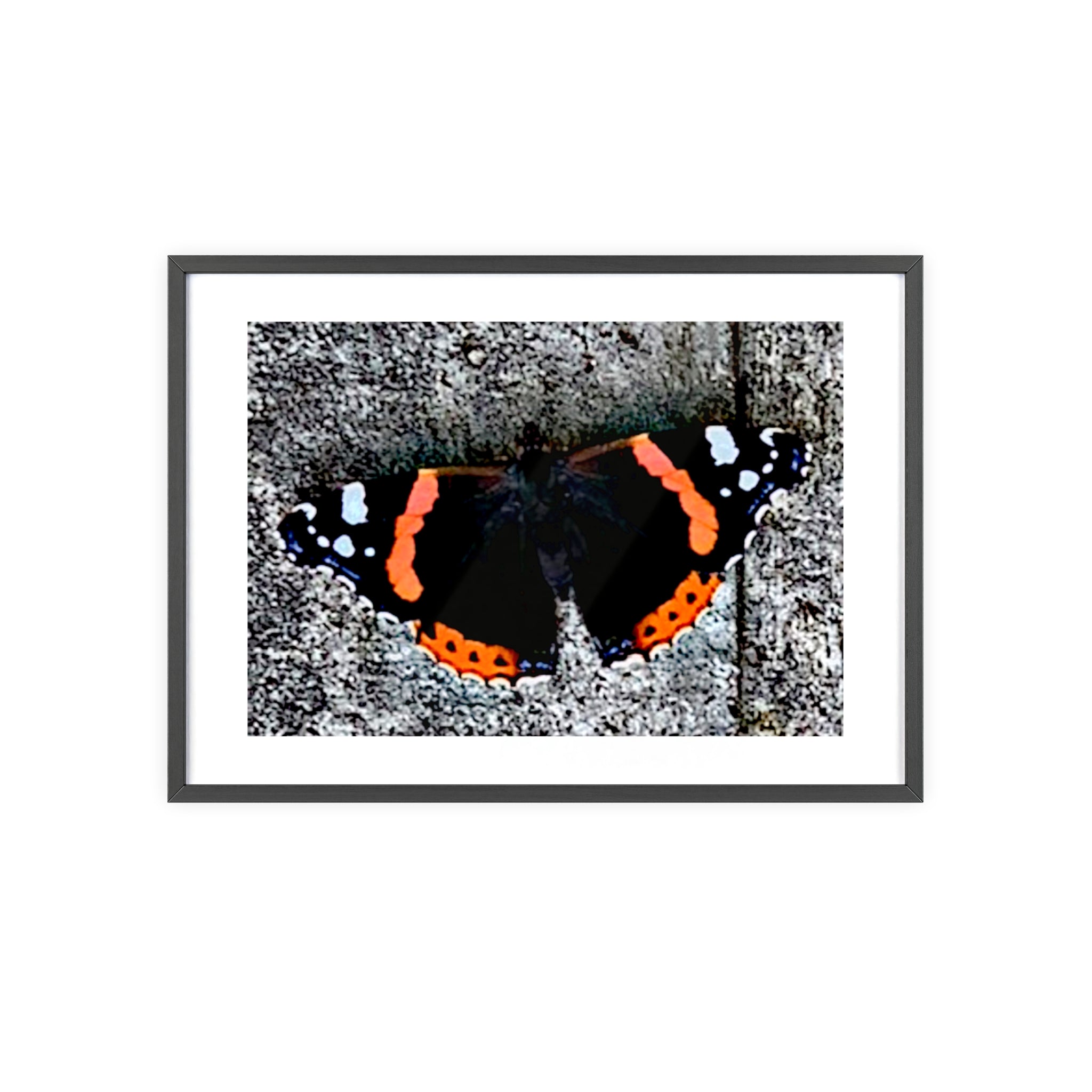 Poster mit Holzrahmen, Art.-Nr. T 00104 P