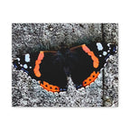 Wandbild Druck, Art.-Nr. T 00104 W