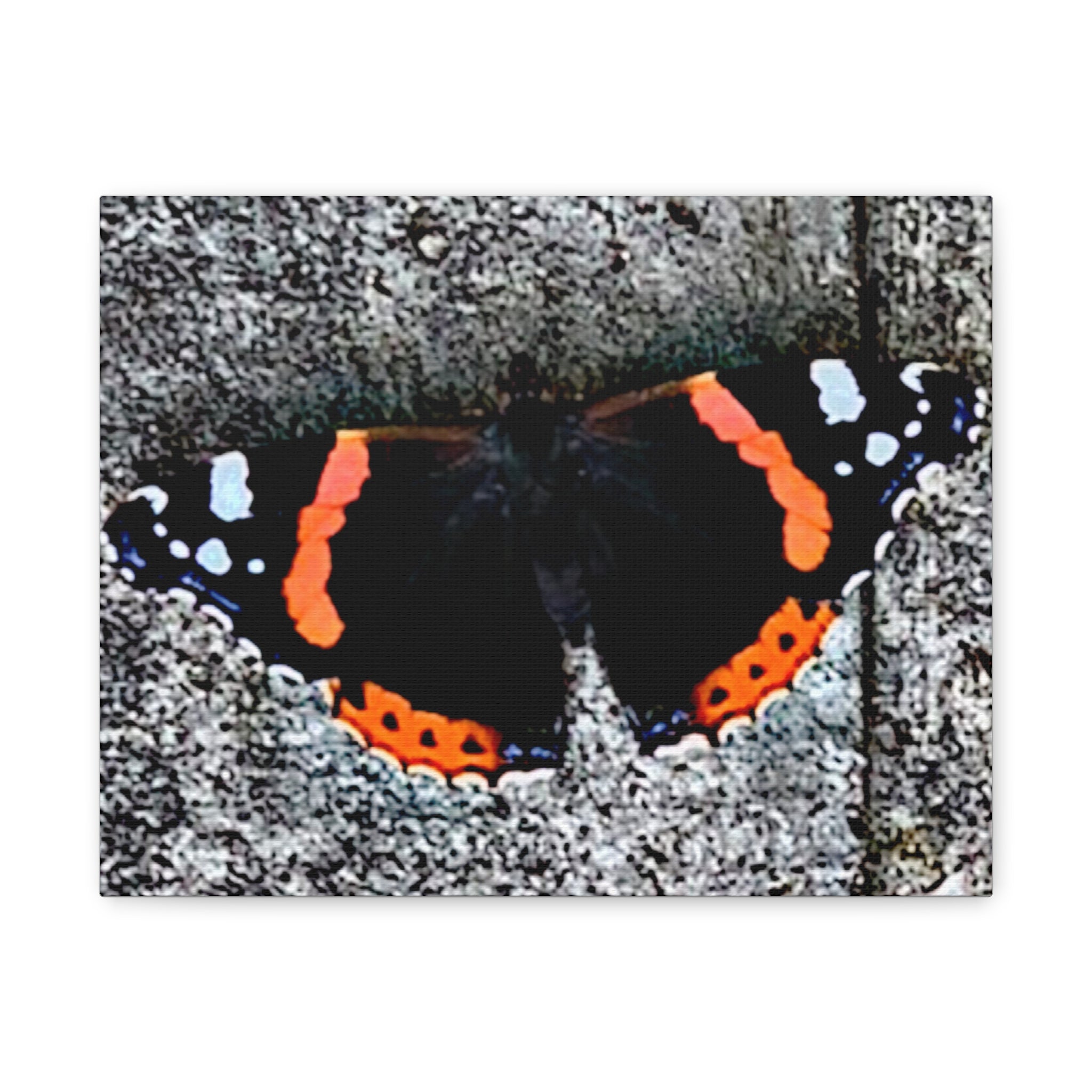 Wandbild Druck, Art.-Nr. T 00104 W