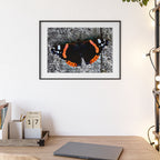 Poster mit Holzrahmen, Art.-Nr. T 00104 P