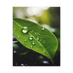 Wandbild Druck, Art.-Nr. NA 00115 W