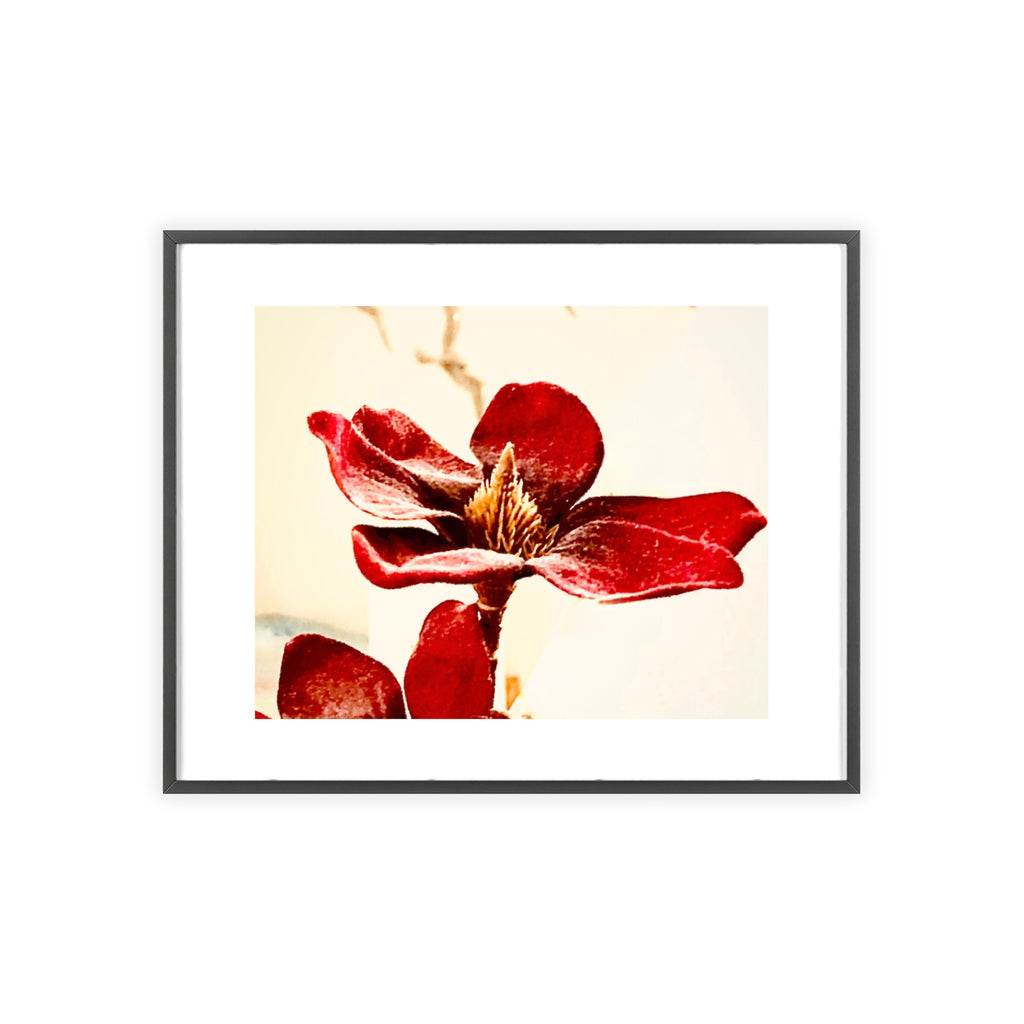 Poster  mit Holzrahmen, Art.-Nr. AP 00114 P