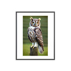 Poster mit Holzrahmen, Art.-Nr. T 00107 P