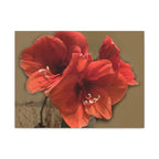 Wandbild Druck, Art.-Nr. NA 00111 W