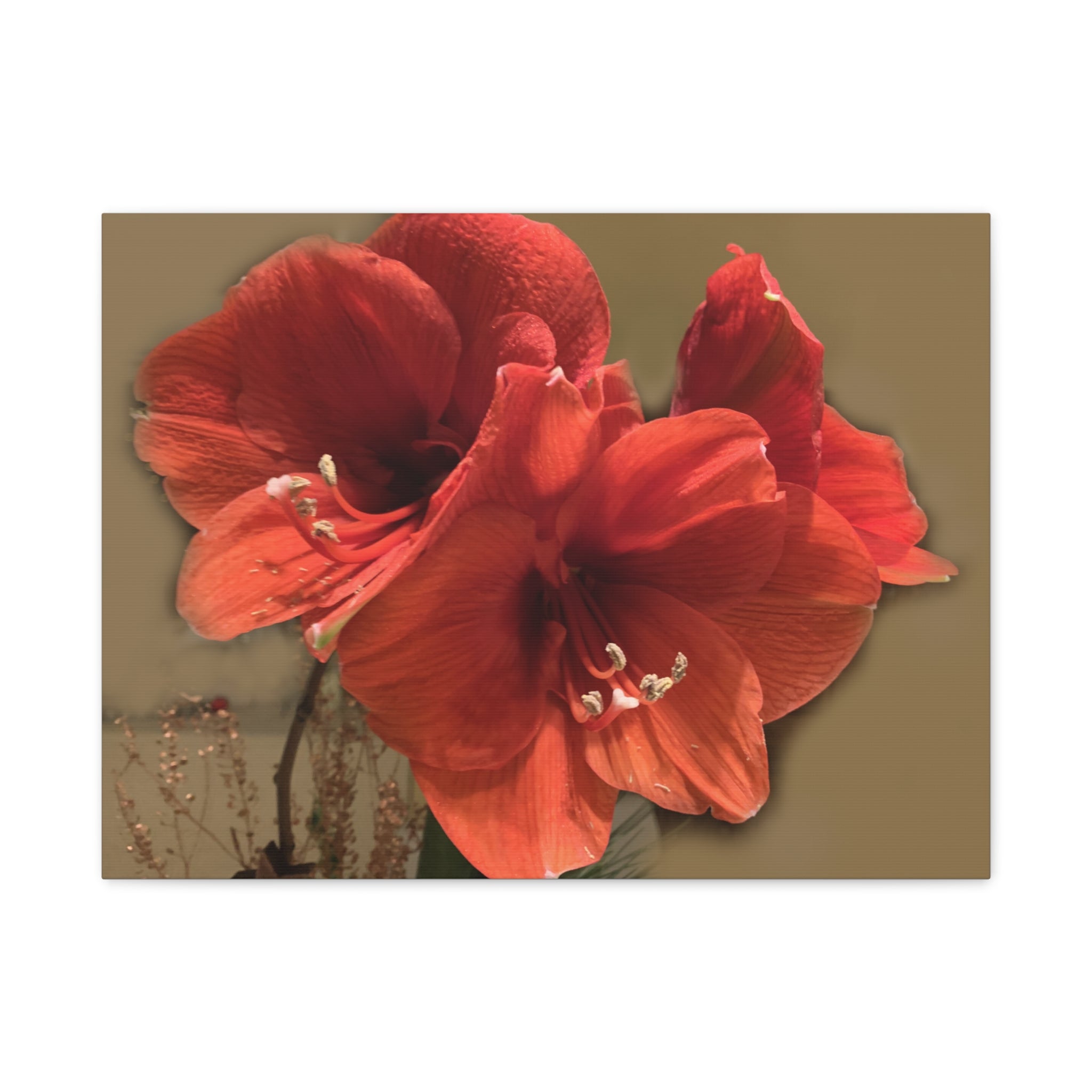 Wandbild Druck, Art.-Nr. NA 00111 W