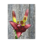 Wandbild Druck, Art.-Nr. NA 00132 W