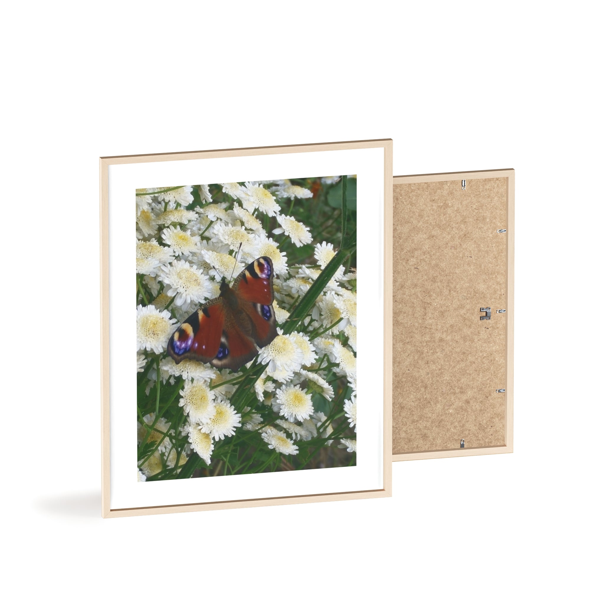 Posters with Wooden Frame