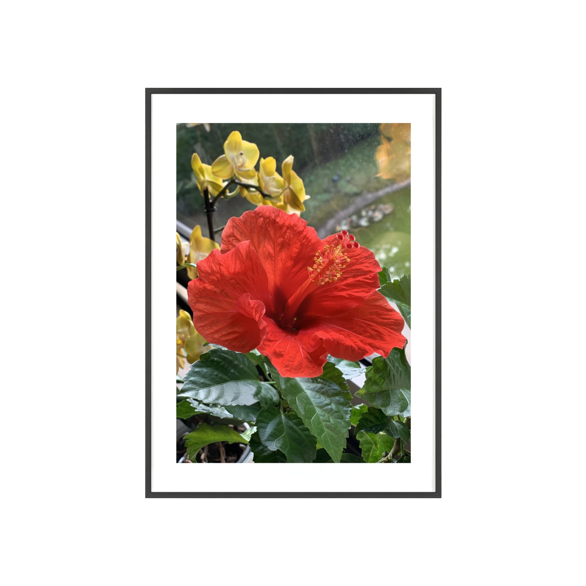 Poster mit Holzrahmen, Art.-Nr. NA 00107 P