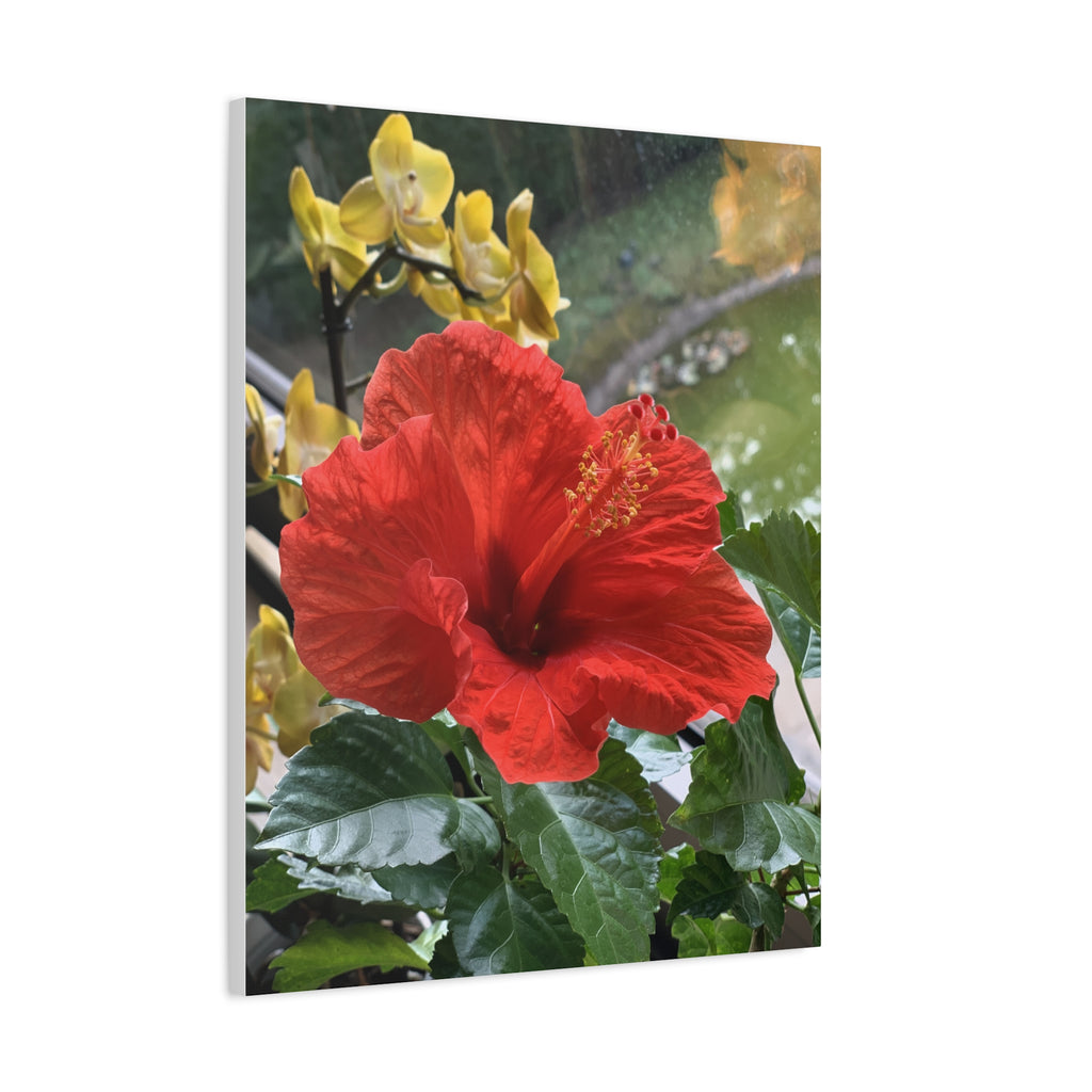 Wandbild Druck, Art.-Nr. NA 00107 W