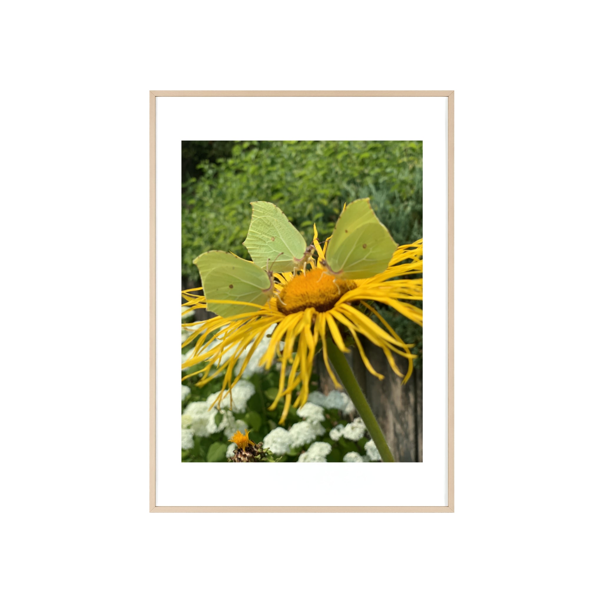 Poster mit Holzrahmen, Art.-Nr. NA 00137 P